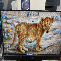 Hamilton Vantage Liquid Handler image 0